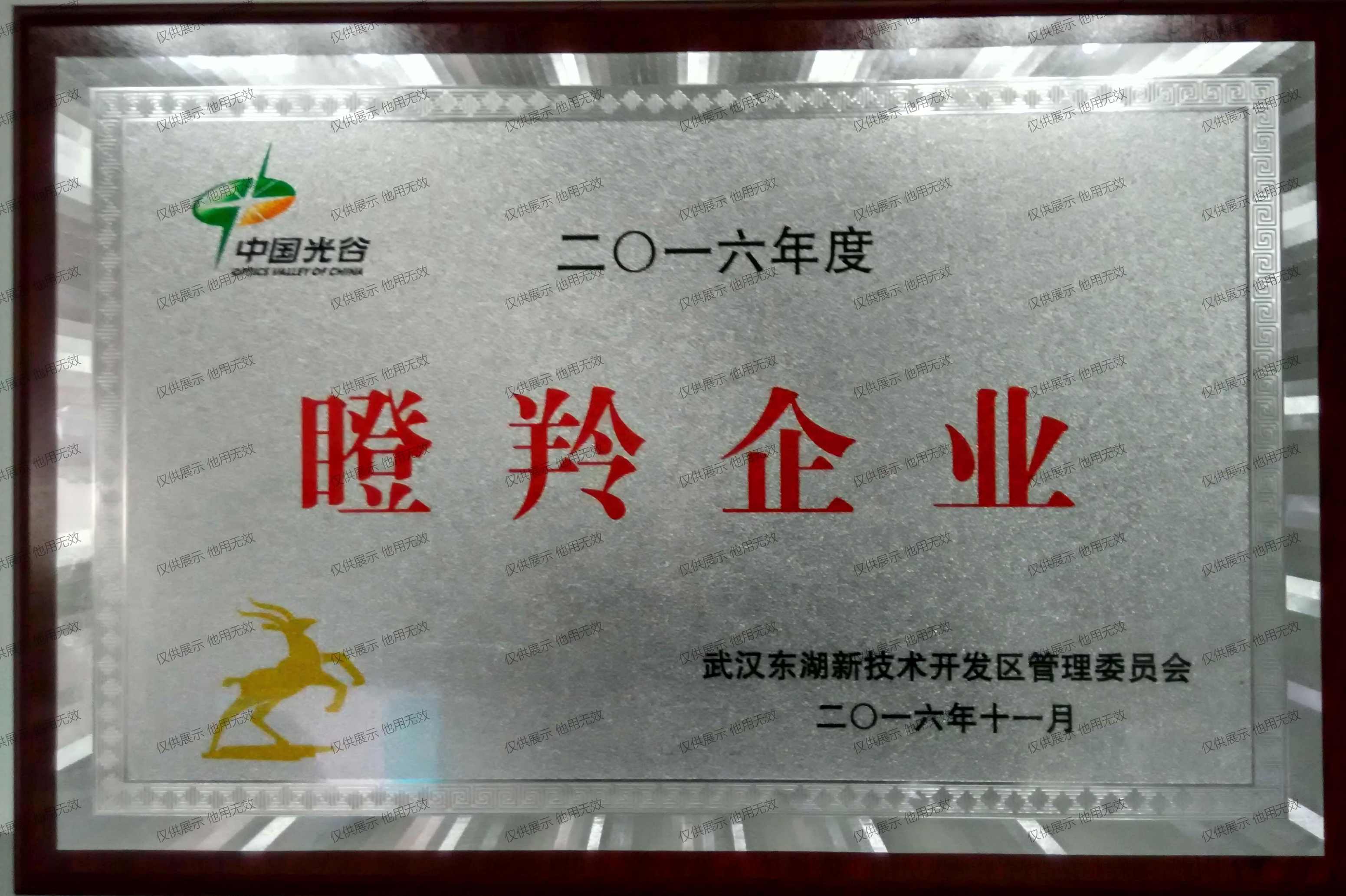 公司榮譽(yù)