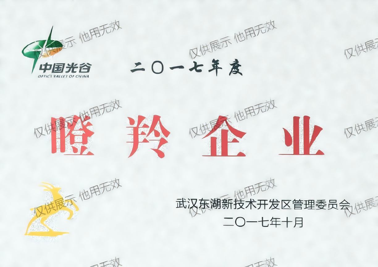 公司榮譽(yù)